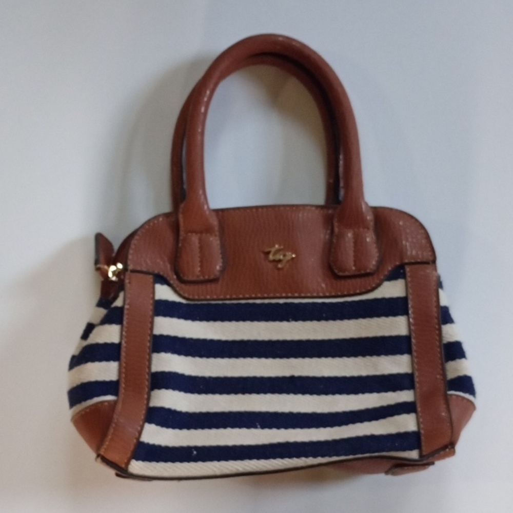 Brown and Blue Striped Satchel with Leather Trim